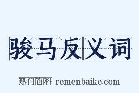 骏马反义词是什么意思的图片